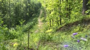 Беспечный ангел (под гитару)