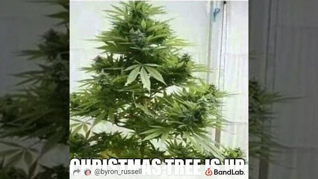 Gangsta's Paradise remix смотреть онлайн