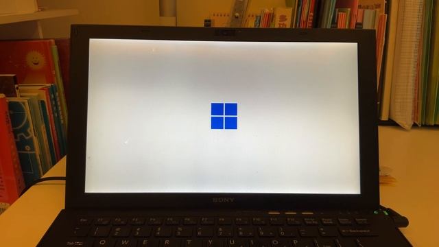 簡單地安裝tiny 11(Windows 11 精簡版） смотреть онлайн