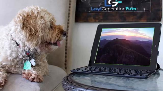 Computer Dog Video Mockup смотреть онлайн