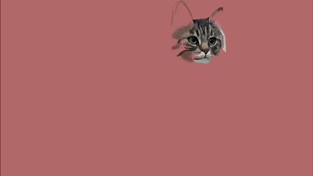 How to draw a cat / iPad Drawing смотреть онлайн