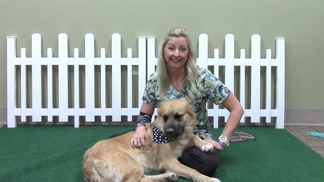 Town of Apple Valley - Pet Match 8/16/18 смотреть онлайн