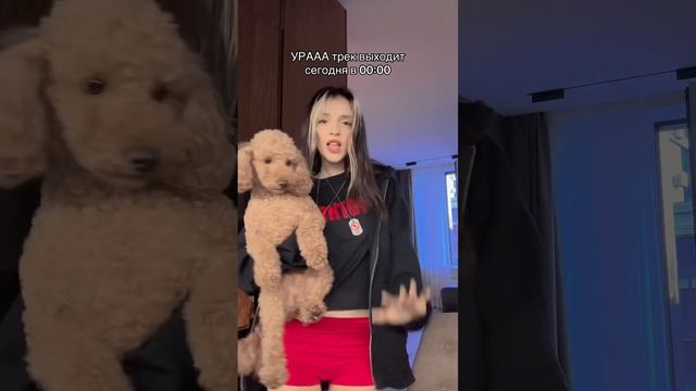 «по Москве» сегодня в 00:00! #daryana #juice #shorts смотреть онлайн