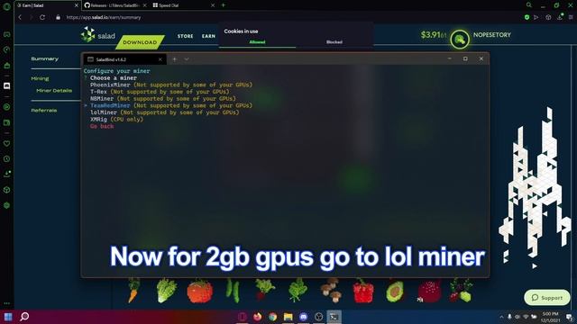 Salad bind tutorial + HOW TO MINE IN IGPU! смотреть онлайн