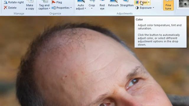 Editing in Windows Live Photo Gallery 2011 смотреть онлайн