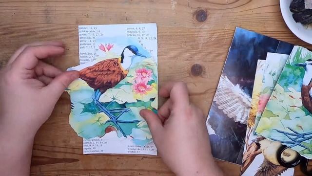 Slow TV Storytelling  PT10: Chapter 9/The Peculiar 'Possum/Winter-Dallas Lore Sharp