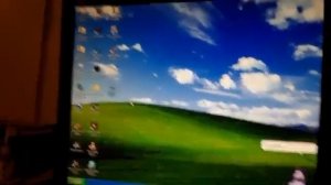 BONZI BUDDY KILLS WINDOWS XP