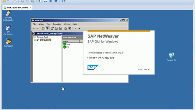 IDES ECC6 EHP5 Portable running on windows 8 смотреть онлайн