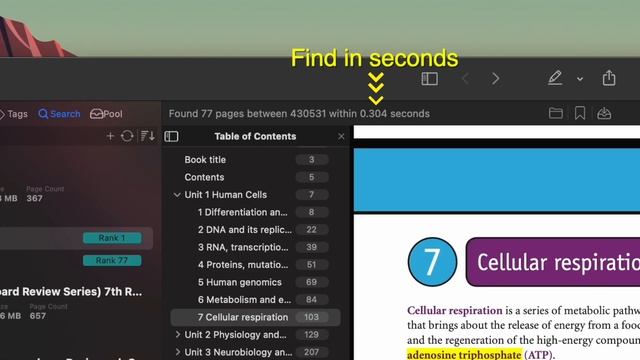 PDF Search App Preview смотреть онлайн