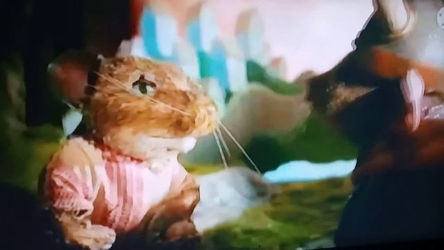 Tomcat Mouse bait Viking Mice Childhood Friends Engineering To Kill Commercial смотреть онлайн