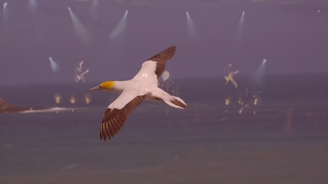 Научись летать смотреть онлайн