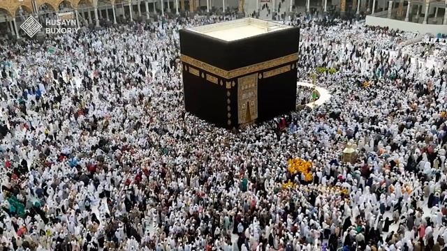 Zikrda koʻpning eng kami 1000 ta | Shayx Husayn Buxoriy смотреть онлайн