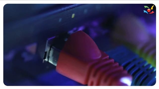 SSD Hosting смотреть онлайн