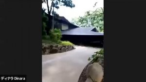 Видео тур по Японии для наших учеников