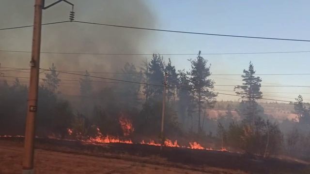 ГОРЯТ ЛЕСА . пожар 2 сентября 2020 г. смотреть онлайн