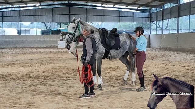 ✅Hacer la PRIMERA monta a un potro algo COMPLICADO. Doma de potros. Avances en la doma de un potro. смотреть онлайн