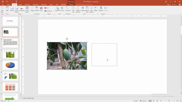 How to combine text and pictures in PowerPoint смотреть онлайн