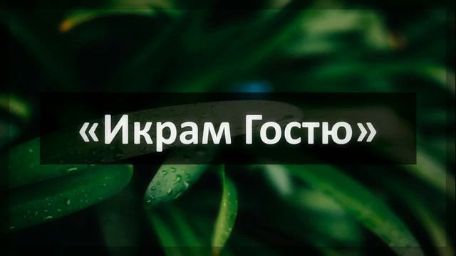 Ринат Абу Мухаммад «Икрам Гостю» смотреть онлайн