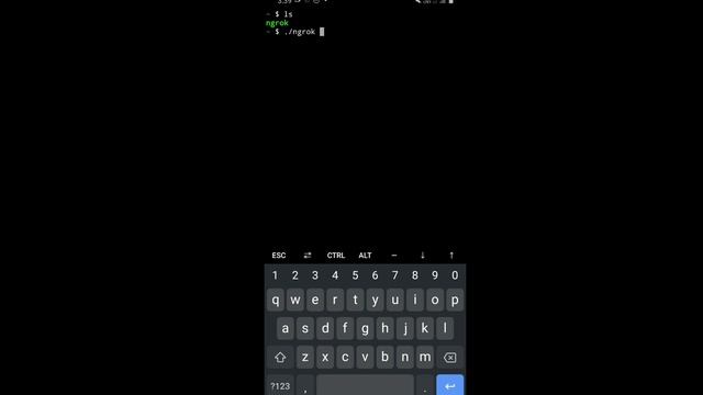Ngrok install in Termux and All Linux OS Kali nethunter | Kali Linux смотреть онлайн