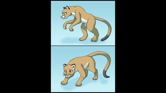Cougar Transformation / Cougar TFTG