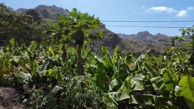 CABO VERDE EP 4. Sant'Antão: trekking da COCULI a ESPONGEIRO. смотреть онлайн