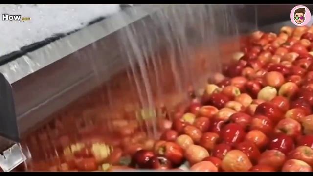 देखिए Factory में कैसे बनता है Apple Juice? How Is Apple Juice Made In Factories?