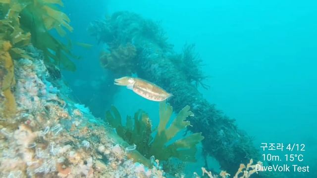 DiveVolk & S10 5G Test смотреть онлайн