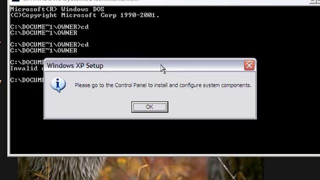 Is your computer virus free? - Windows XP смотреть онлайн