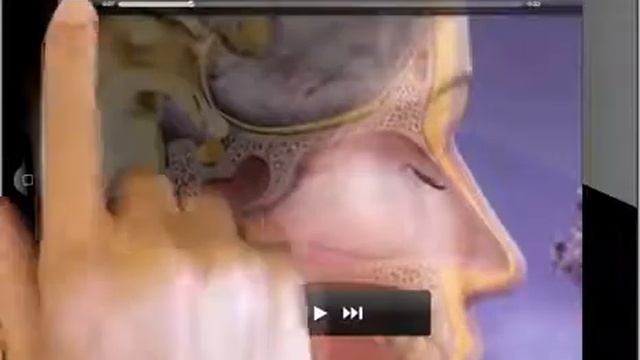 Anatomy & Physiology 2014 tutorial (iPad) смотреть онлайн