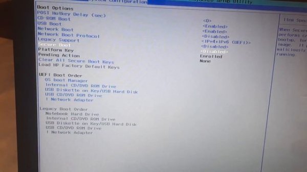 please install an operating system on your hard disk windows 11
