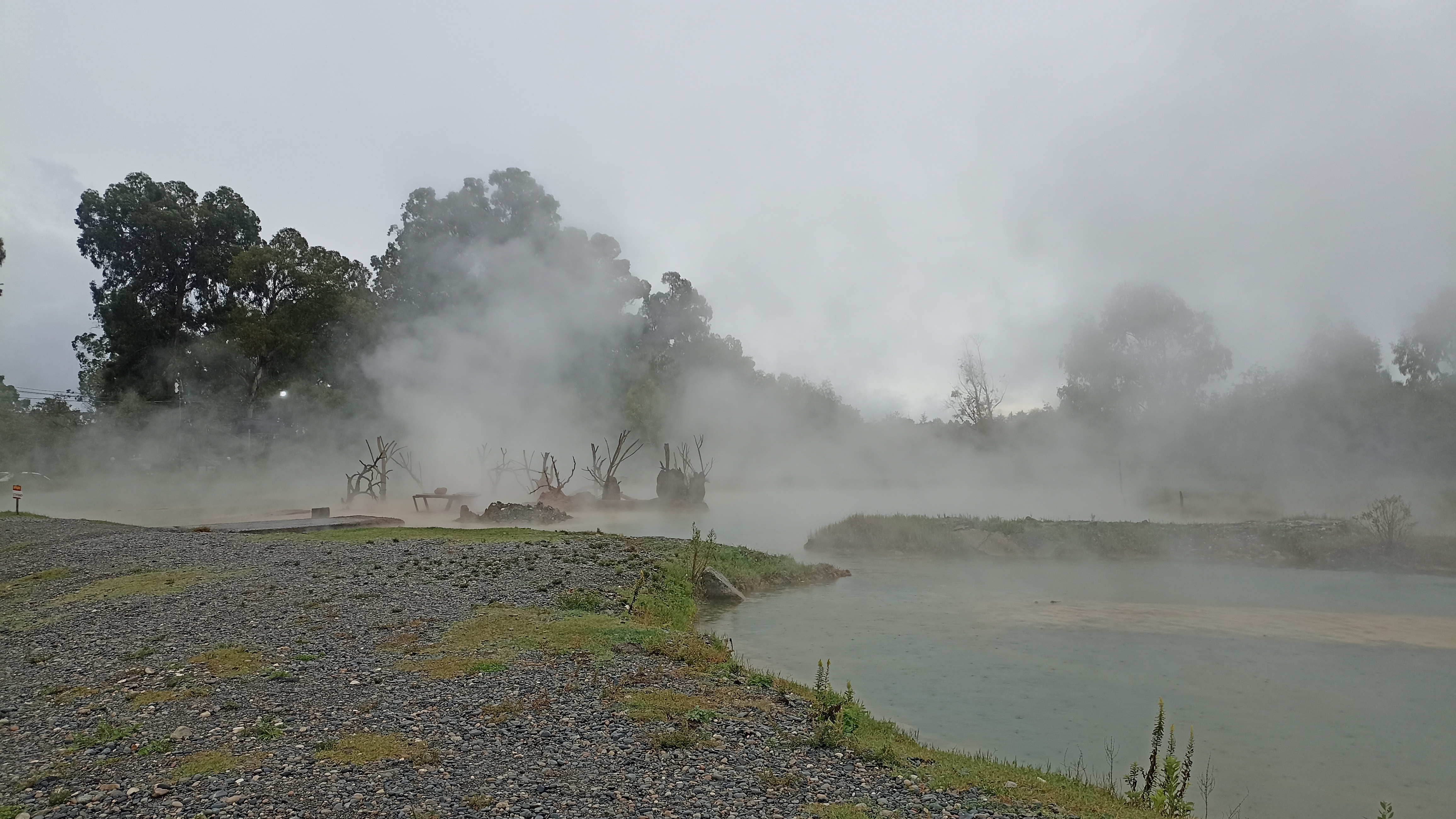 12. Снова на зиму в Абхазию. День 12, 18.10.2024. Шарлотка и старый Кындыг смотреть онлайн