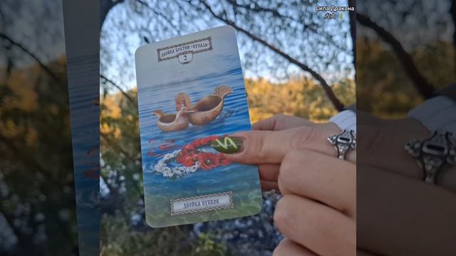 ☀️Послание для Вас от Высших Сил 🕊 смотреть онлайн