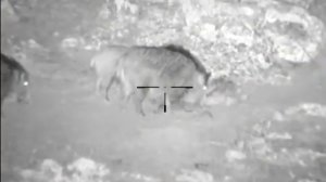 Teste Lanternas IR (850nm vs 940nm)