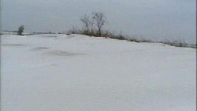 МАМА И Я 2002 год