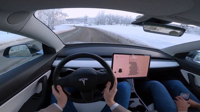 Tesla Model 3 Performance | POV Drive | 2019 | 490 HP
