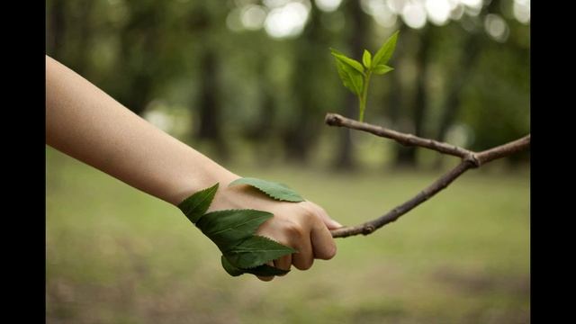 плодородие земли смотреть онлайн