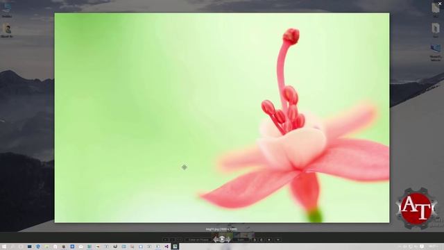 Picasa Photo Viewer смотреть онлайн