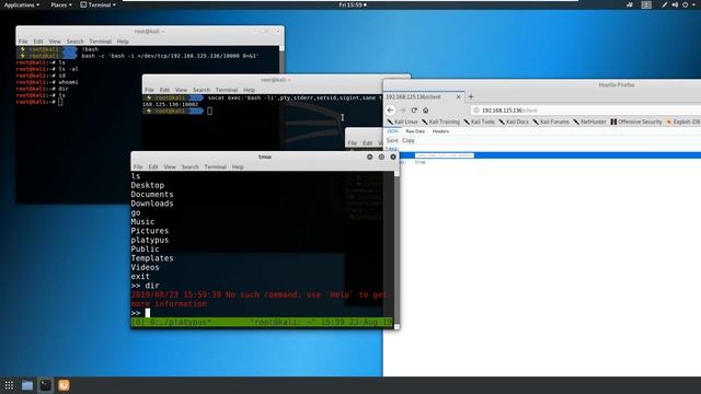 Platypus: A modern multiple reverse shell sessions manager written in go смотреть онлайн