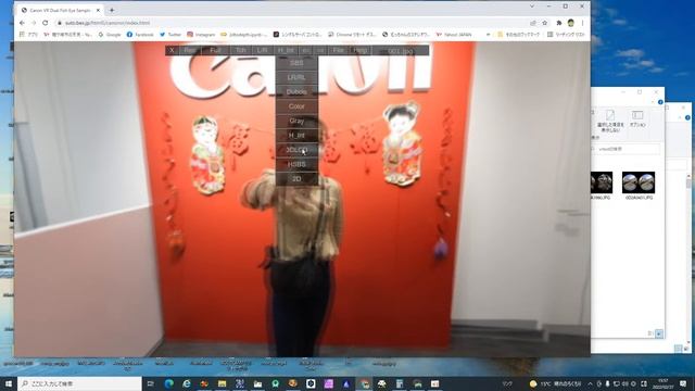 EOS VR System Dual Fish Eye Viewer (WEB Application） смотреть онлайн