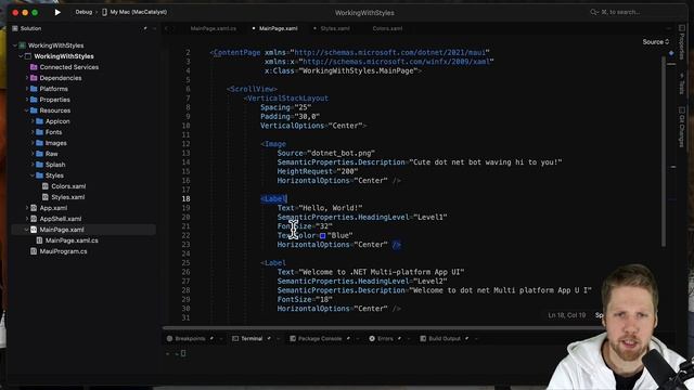 .NET MAUI - Working with styles смотреть онлайн