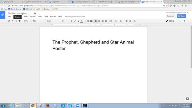 IMT5 PSS Animal Poster смотреть онлайн
