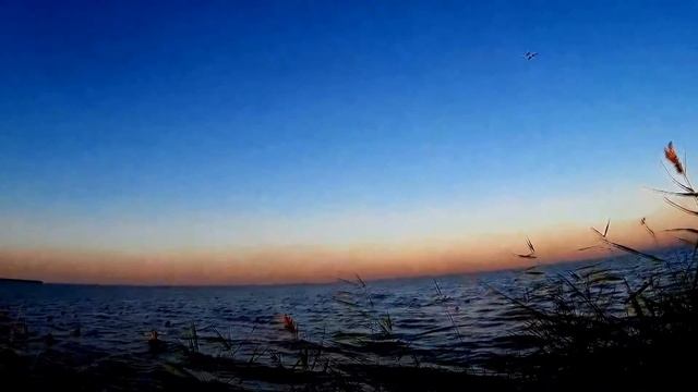 Охота на утку в плавнях смотреть онлайн