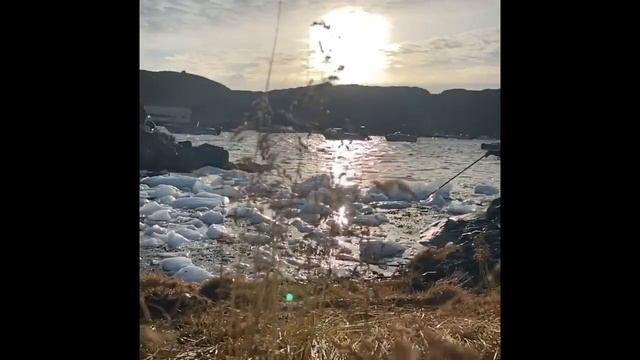 Sinileraangavit Paninnguaq смотреть онлайн