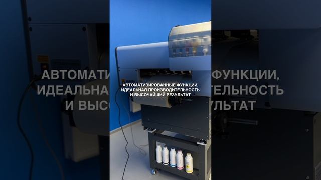 OTTER DTF смотреть онлайн