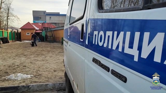 В Центре кинологической службы УМВД России по Тюменской области появился новый питомец смотреть онлайн