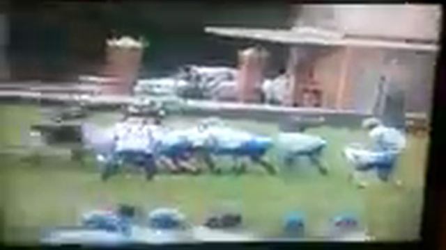 canon mac football- mike the tank смотреть онлайн