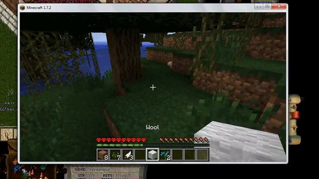 Minecraft probléms grafikou смотреть онлайн