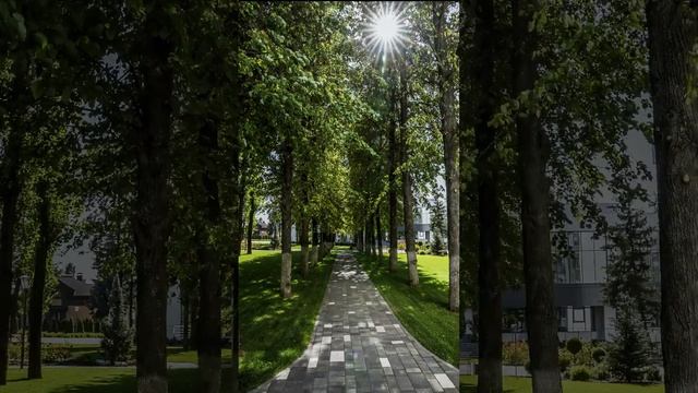 ландшафтный дизайнер воронеж 2024 ЛДР2 смотреть онлайн