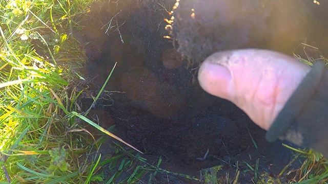 Coins and Catholics On Busy Permission | Nokta Makro Simplex | Metal Detecting смотреть онлайн