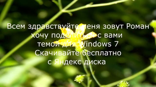 Country house Russia смотреть онлайн